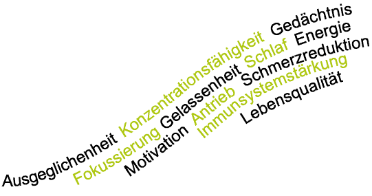 Grafiken_Philosophie